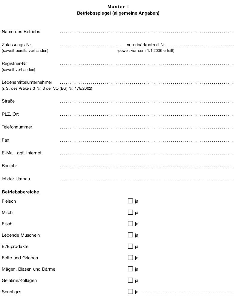 Muster 1 Betriebsspiegel (allgemeine Angaben), Seite 1 (BGBl. I 2007 S. 1843)