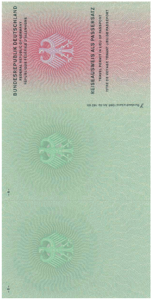 Muster Reiseausweis als Passersatz Außenseiten (BGBl. 2007 I S. 2456)