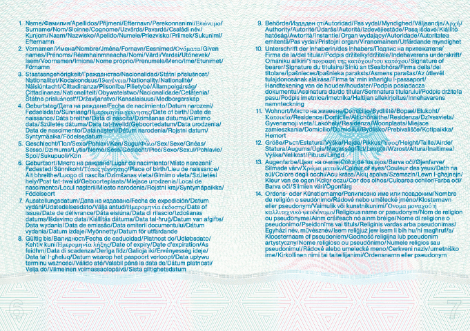 Vorläufiger Reisepass, Passbuchinnenseiten 6 und 7 (BGBl. 2010 I S. 1447)