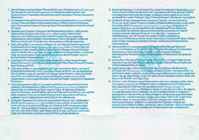 Vorläufiger Diplomatenpass, Passbuchinnenseiten 6 und 7 (BGBl. 2010 I S. 1451)