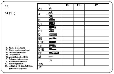 Muster des Führerscheins, Rückseite (BGBl. I 2010 S. 2058)