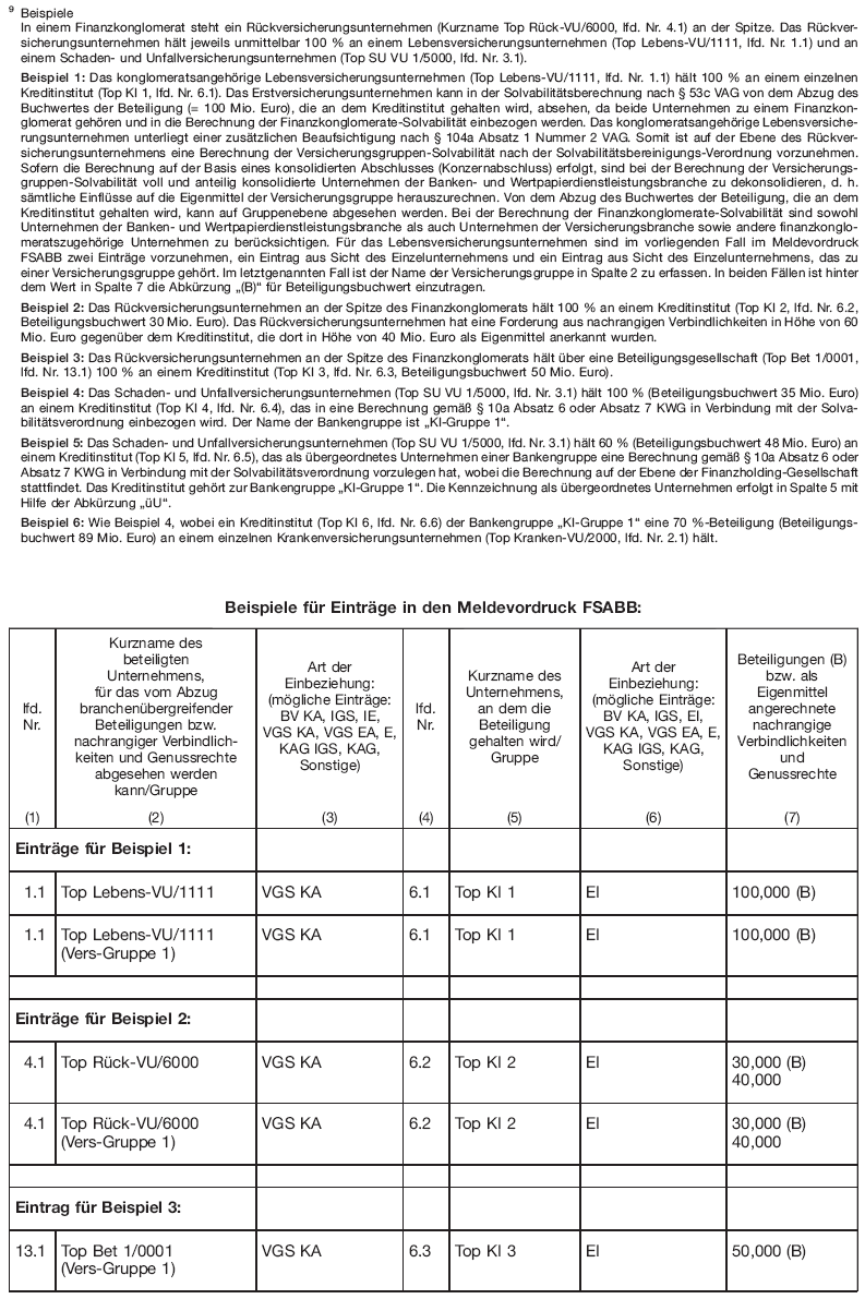 Meldevordruck - Abzug branchenübergreifender Beteiligungen (FSABB) - (BGBl. I 2013 S. 3701)