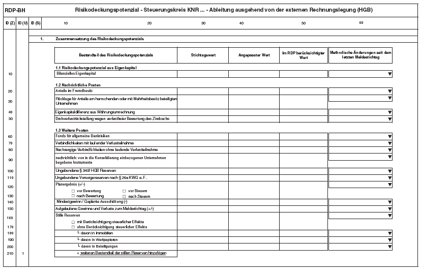 Anlage RDP-BH Risikodeckungspotenzial Ableitung ausgehend von der externen Rechnungslegung (H G B), Seite 1 (BGBl. 2014 I S. 2353)