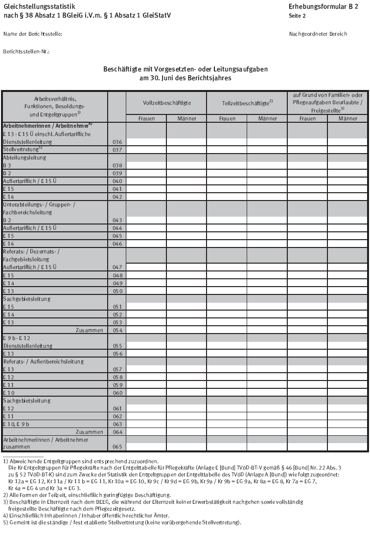 Erhebungsformular B 2, Seite 2 (BGBl. 2015 I S. 2288)