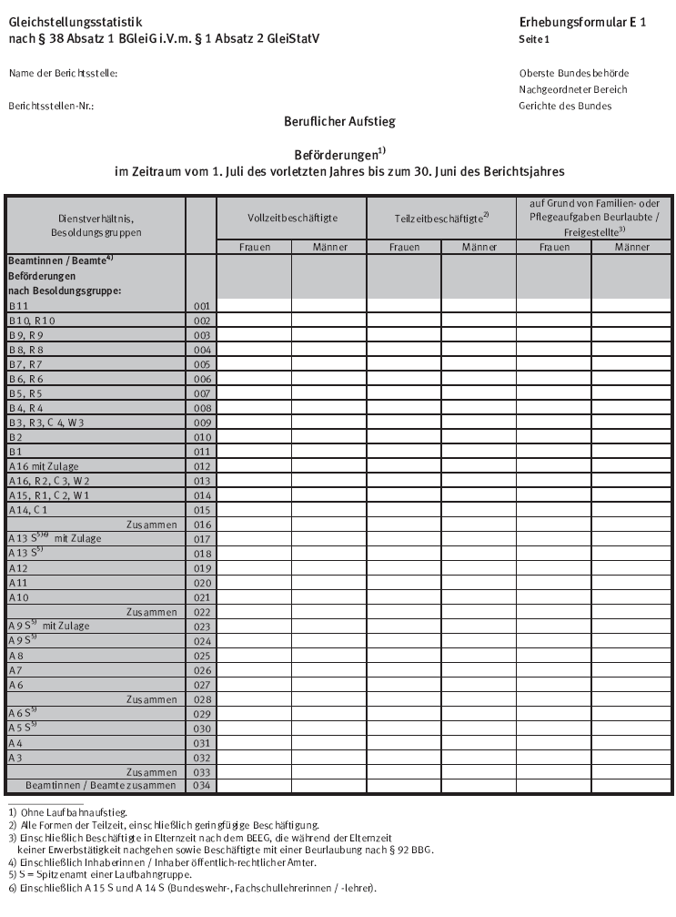 Erhebungsformular E 1, Seite 1 (BGBl. 2015 I S. 2294)