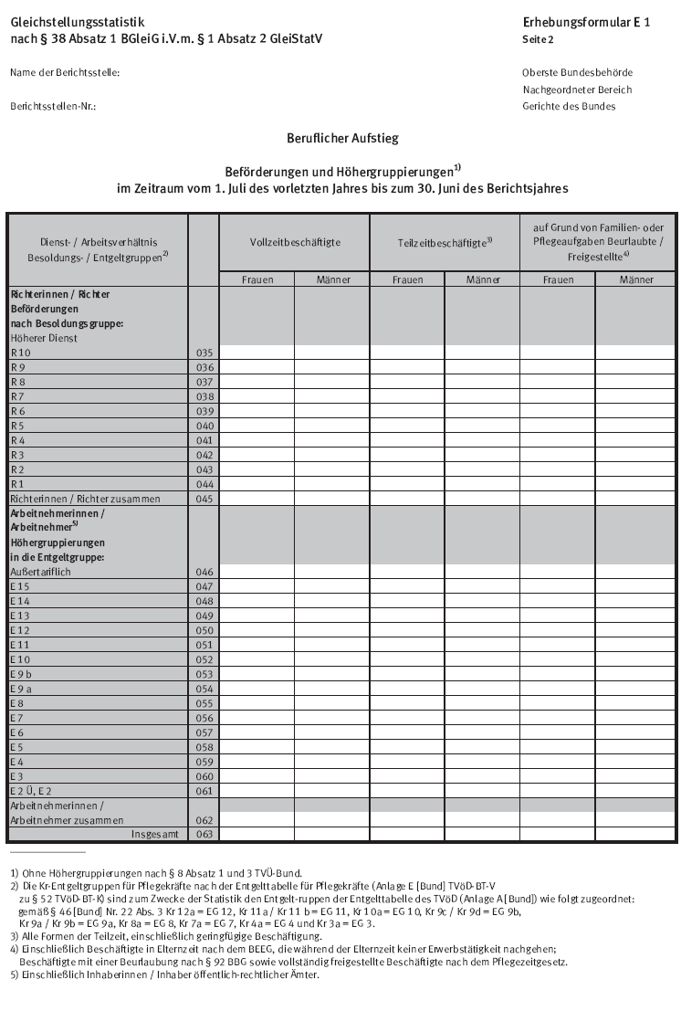 Erhebungsformular E 2, Seite 2 (BGBl. 2015 I S. 2295)