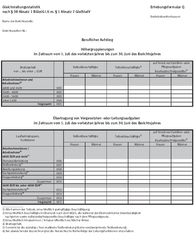 Erhebungsformular Q (BGBl. 2015 I S. 2312)