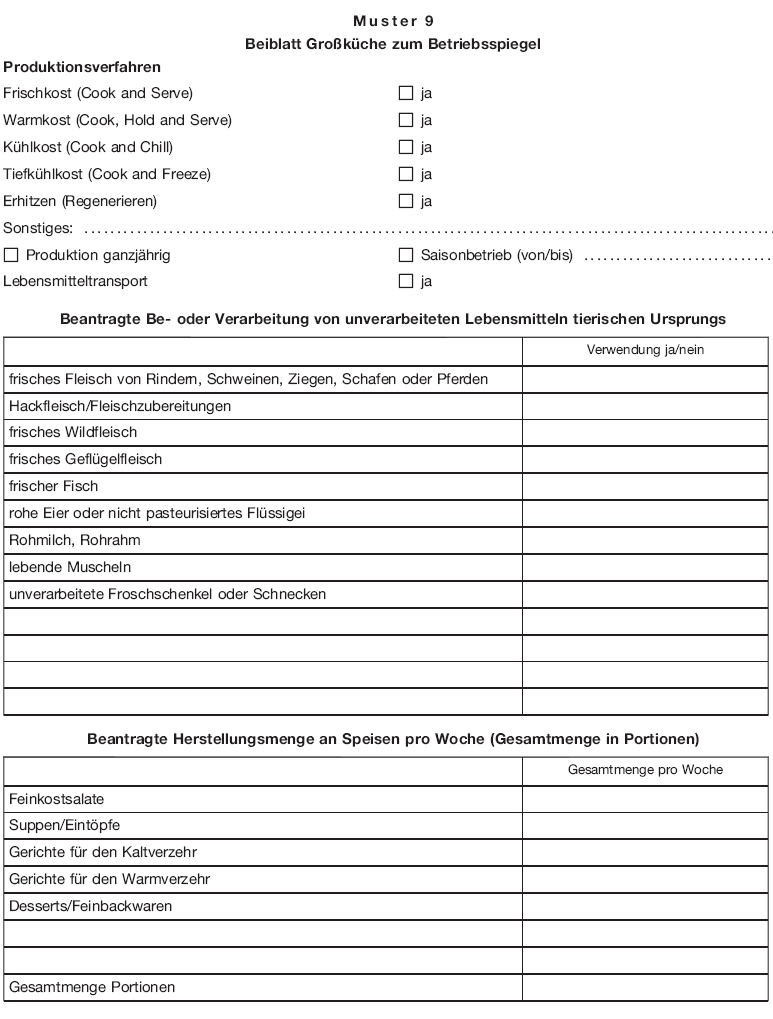 Muster 9 Beiblatt Großküche zum Betriebsspiegel (BGBl. 2018 I S. 515)