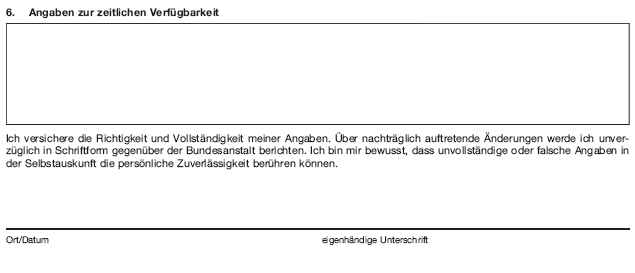 Formblatt PVZLSI, Seite 3 (BGBl. 2018 I S. 1734)