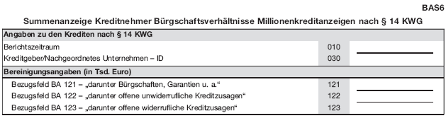 Meldeformular BAS6 (BGBl. 2019 I S. 159)