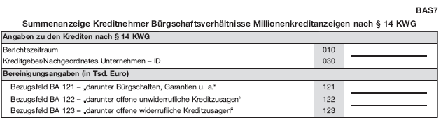 Meldeformular BAS7 (BGBl. 2019 I S. 160)