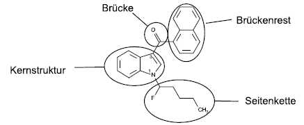 Piktogramm (BGBl. 2021 I S. 2235)