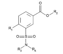 Piktogramm (BGBl. 2021 I S. 2237)