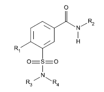 Piktogramm (BGBl. 2021 I S. 2238)