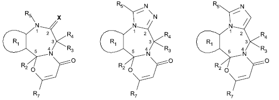 Piktogramm (BGBl. 2021 I S. 2239)