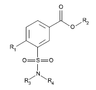 Piktogramm (BGBl. 2022 I S. 1559)