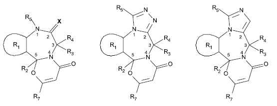 Piktogramm (BGBl. 2022 I S. 1560)