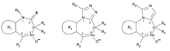 Piktogramm (BGBl. 2022 I S. 1561)