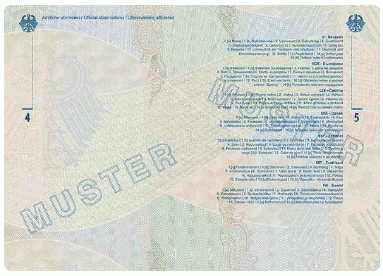 Muster Dienstpass (BGBl. 2024 I Nr. 125 S. 29)