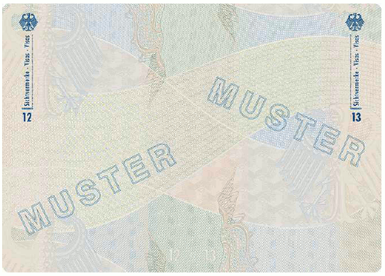 Muster Dienstpass (BGBl. 2024 I Nr. 125 S. 31)