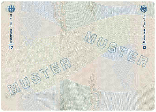 Muster Dienstpass (BGBl. 2024 I Nr. 125 S. 31)