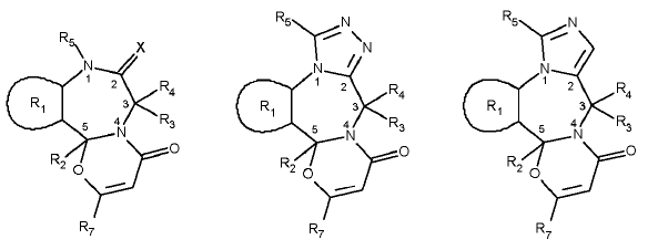 Piktogramm (BGBl. 2024 I Nr. 210 S. 11)