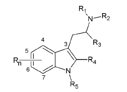 Piktogramm (BGBl. 2024 I Nr. 210 S. 13)