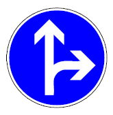 Zeichen 214 Vorgeschriebene Fahrtrichtung Geradeaus und rechts (BGBl. I 1992 S. 684)